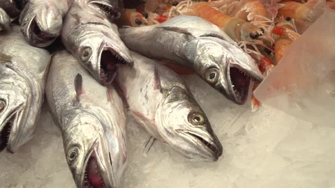 Fish on the fishmonger's counter Stock Footage 133794105