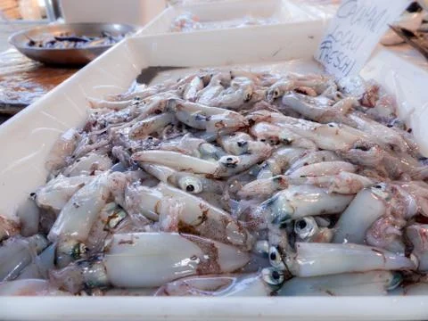 Fish on the fishpond bench 库存照片
