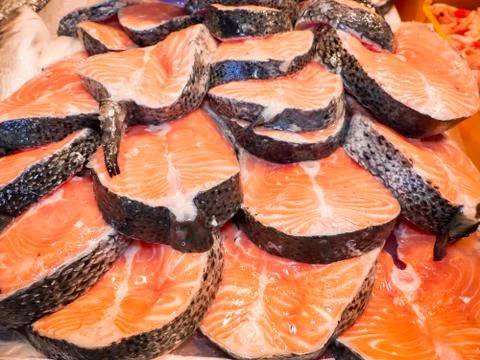 Fish on the fishpond bench 스톡 사진