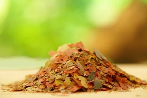 Fish flake food Stock Photos