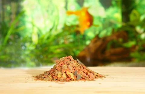 Fish flake food Stock Photos