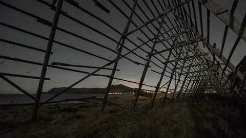 Fish flake from Vigra Stock Footage 87766521