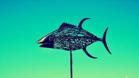 Fish Flight Stock Photos