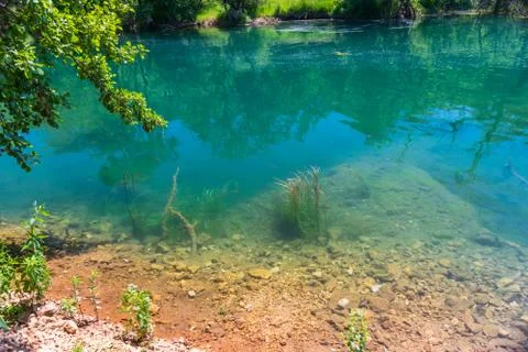 Fish float in clear turquoise water. Foto stock