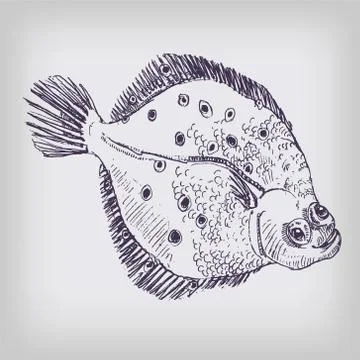 The fish flounder in the deep sea Stock Illustration