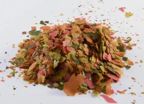 Fish food Stock Photos