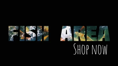 Fish Stock Footage 168344662