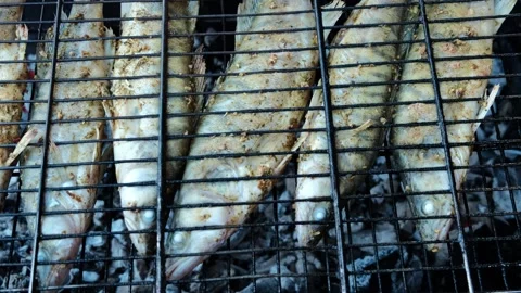 Fish Video stock 246739863