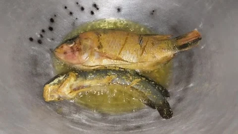 Fish Stock Footage 319453765