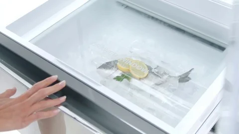 Fish in freezer in slow motion Stock Footage 73390690