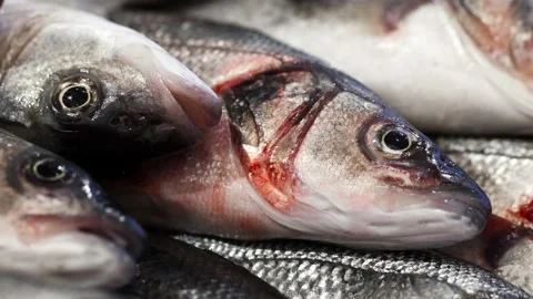 Fish fresh raw close-up Stock-Footage 166697463