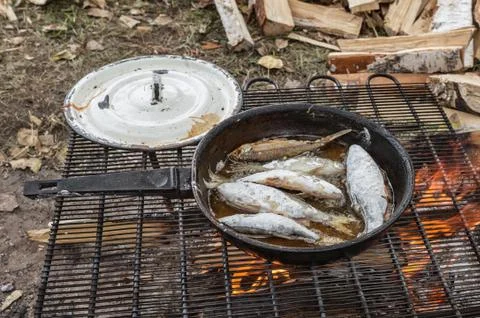 Fish is fried on a bonfire Foto stock