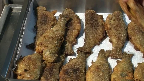Fish fried in a frying pan until golden brown,Pieces of fresh fish are fried in  Stock Footage 90722465