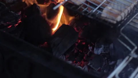 Fish is fried in a grill on coals Stock Footage 159897849