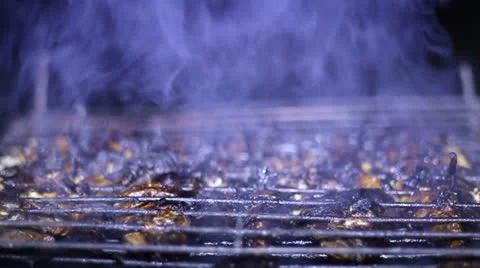 Fish is fried on the grill Stock Footage 26742267