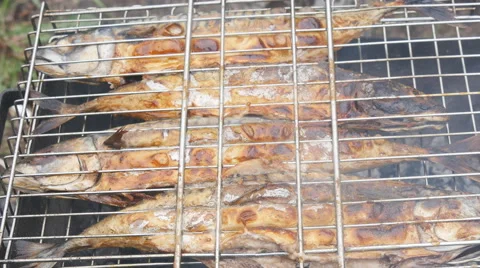 Fish fried on a grill Stock Footage 63238856