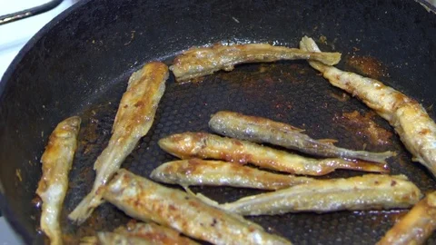 Fish fried in a skillet. Smelt. Video stock 70524964