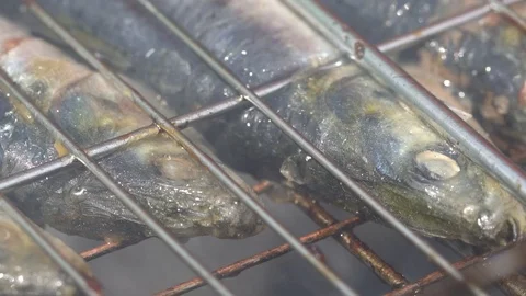 Fish fried at the stake Видео 119888939