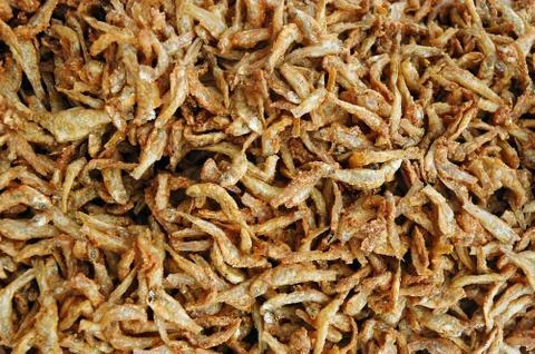 Fish fry Stock Photos