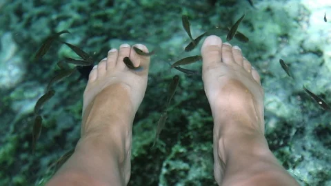 Fish garra rufa plucks the legs of an adult in the cave lake in Mexico Stock Footage 90548356