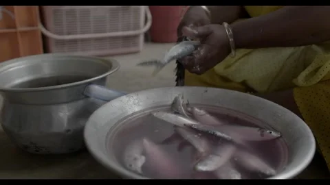 Fish getting scaled and cleaned. Stock Footage 299990191