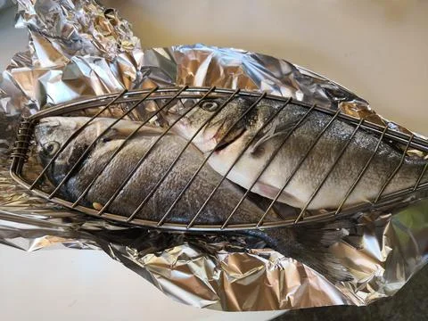 Fish Gilt-head bream Stock Photos