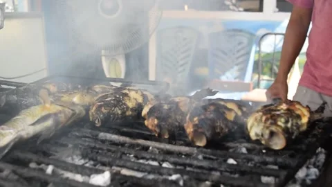 The Fish Gone Wild! Video stock 207721193