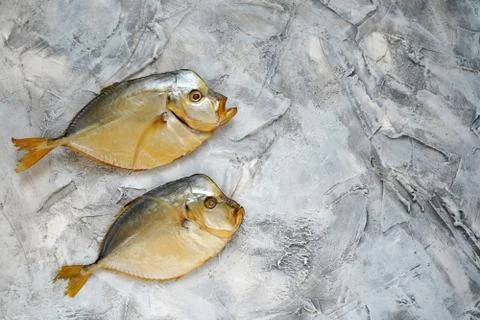 Fish on a gray textured background Stock Photos