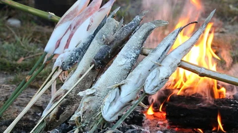 Fish grill on bonfire background. Stock Footage 37246085