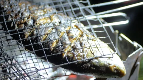 Fish on grill Stockbeeldmateriaal 110224934