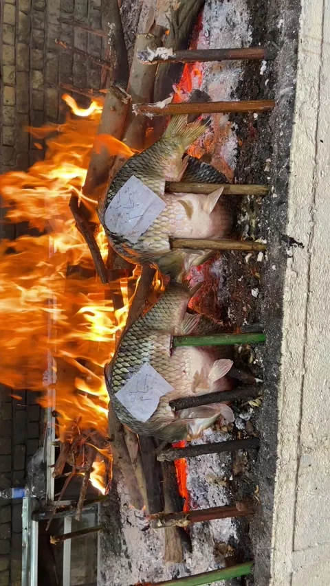 Fish grill Stock Footage 165533165