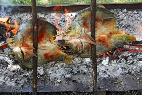 Fish on the grill Stock Photos