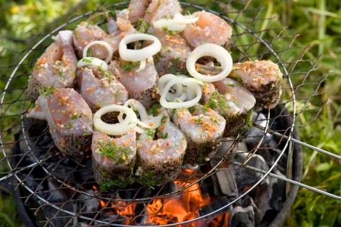 Fish on grill Stock Photos