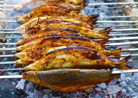 Fish on the grill Stockfoto's