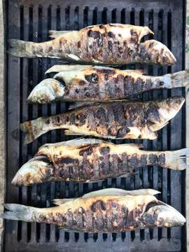 Fish on a grill Stock Photos