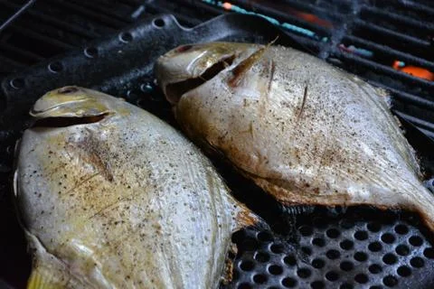 Fish on Grill Stock Photos