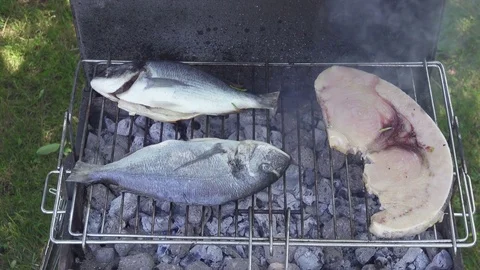 Fish Grilled on Barbecue Stock Footage 77571447