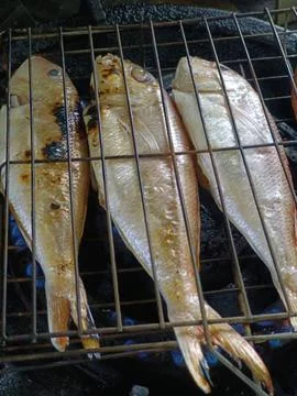 Fish grilled for dinner Stock Photos