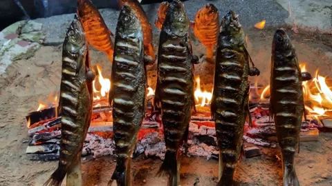 Fish is grilled over an open fire 스톡 동영상 168985362