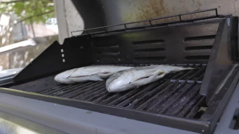 Fish grilling on the BBQ Stock Footage 244963362