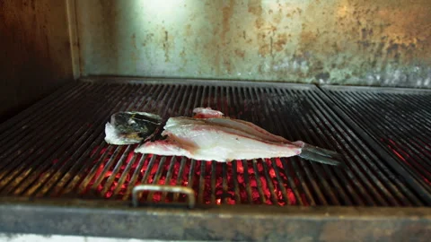 Fish Grilling In The Restaurant Kitchen Stock Footage 283669300