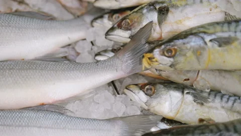 Fish at grocery store Stock Footage 89193243
