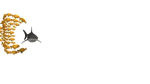 Fish group chasing shark, 3d animation Stock Footage 131510604