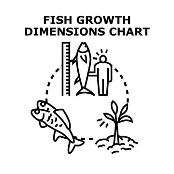 Fish growth dimensions chart illustrating development data Stock Illustration