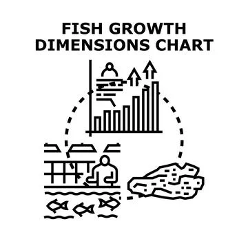Fish growth dimensions chart tracking aquaculture development Stock Illustration