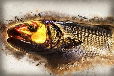 Fish with grunge effect Stock Illustration