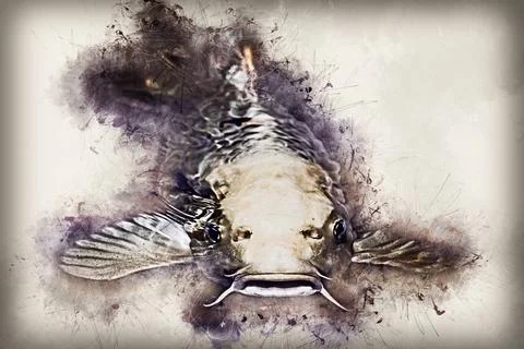 Fish with grunge effect Stock Illustration