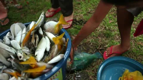 Fish Handheld Vídeos de archivo 10821320
