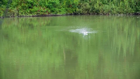 Fish has been caught during fishing Video stock 112176373