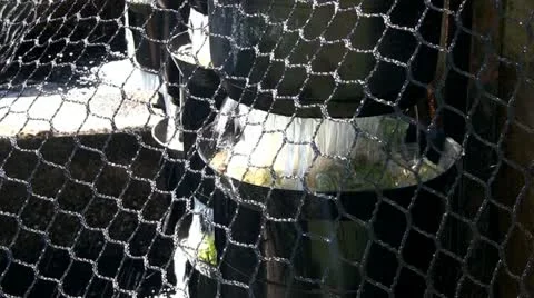 Fish hatchery filtration system; 2 Stock Footage 12185943